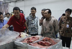 Peternak Desak Mentan Tak Tambah Kuota Impor Daging