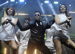 Psy Tidak Tersinggung Disebut Herpes oleh Pentolan Green Day