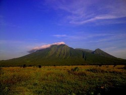 Mau Lihat Afrika? Datang Saja ke Baluran