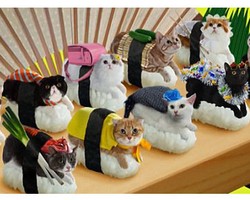 Iklan Sushi dengan Topping Kucing di Jepang Jadi Kontroversi