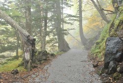 Gunung Fuji, Tempat Mewujudkan Impian Masa Kecil