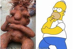 Unik! Tanaman Obat Kuat Ini Mirip Tokoh Kartun Simpson