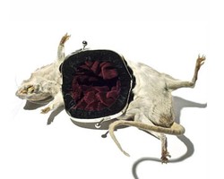 Hiii... Bangkai Hewan Dijadikan Aksesori, Dari Bando Sampai Tas