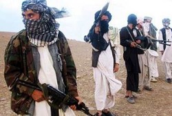 Taliban Umumkan Dukungan terhadap Kampanye dan Program Vaksinasi Polio