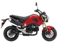 Honda Grom, Motor Sport Berukuran Mini 