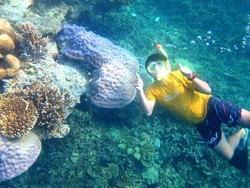 Tempat Snorkeling & Diving Paling Top di Kep Seribu