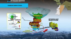 Korban Tewas Runtuhan Tambang Jadi 5 Orang, Bos Freeport Terbang ke Papua
