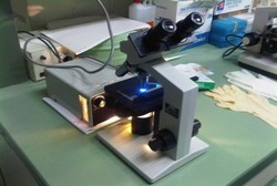 Peneliti Indonesia Temukan Alat Diagnosis Cepat untuk Malaria