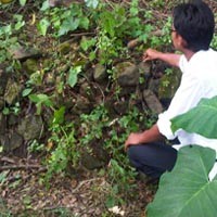 Candi di Lamongan Dikenal Punya Mitos Turunkan Pangkat
