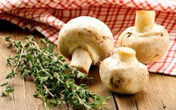 Jamur Bisa Jadi Makanan Andalan Untuk Turunkan Berat Badan