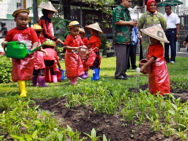 Ketika Anak Usia Dini Menanam