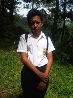 Gagalkan Upaya Perkosaan, 3 Siswa SMP di Bogor Dipuji Pihak Sekolah