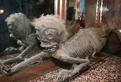 Aneh Tapi Nyata, Ada Manusia Ikan dari Indonesia di Kanada!