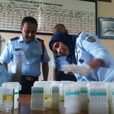 Pegawai dan Tahanan Rutan Medaeng Dites Urine Usai Penemuan Sabu-sabu