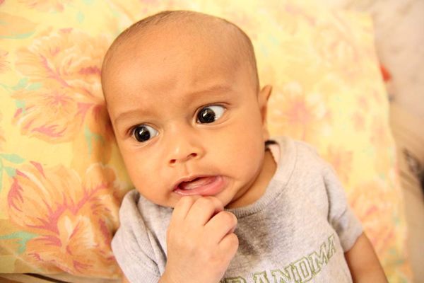 Syauqi Rabbani Al Wafi, 1,6 Tahun, Lelaki