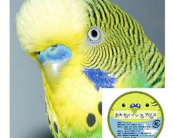 Wow, Ada Es Krim Rasa Burung di Jepang