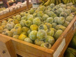 RI Jadikan Kesemek Sebagai Buah Unggulan