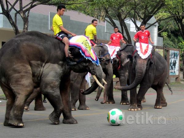 Gajah Dortmund Tumbangkan Gajah Bayern