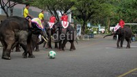 Tiga gajah ditunggangi oleh pawang berkostum Bayern Munich, tiga lainnya dikendalikan oleh pawang berseragam Dortmund. Muhajir Arifin/detikSport.
