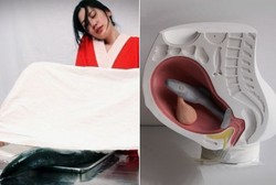 Mengenal Ai Hasegawa, Wanita yang Ingin Melahirkan Hiu