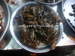 Makanan Ekstrim Di Kamboja