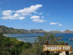 JK: Jadikan Pulau Komodo Tempat Wisata, Sejahterakan Dulu Masyarakat