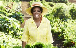 Oprah Siap Luncurkan Produk Makanan Organik Miliknya