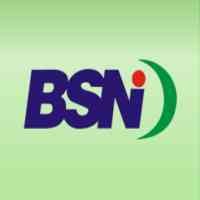 Kena Pemotongan Anggaran, BSN Ngadu ke DPR