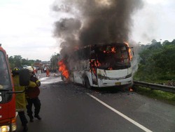 Ini Penampakan Bus Primajasa Diamuk Api di Tol Cipularang