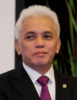 Manggis Indonesia Ditolak China, Ini Tanggapan Hatta Rajasa