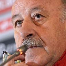 Del Bosque Ungkap Alasan Pemanggilan Torres, Martinez, dan Casillas