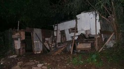 Pemilik Kambing di Tebet Curiga Penjagal Sudah Mengincar Sejak Lama