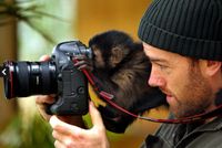 Menggemaskan, Binatang Berprofesi Fotografer