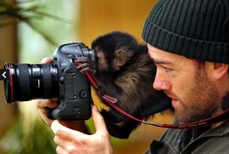 Menggemaskan, Binatang Berprofesi Fotografer