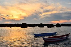 Masih Ada yang Perawan di Utara Jakarta