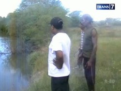 Suami Dimakan Buaya, Isteri Histeris