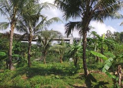 Pemandangan di Tol Semarang-Bawen Tak Kalah Cantik dengan Cipularang