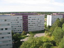 Kota Aneh di Swedia, Setiap Malam Terdengar Teriakan