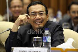 Mentan Sebut Pemprov DKI Subsidi Daging Rp 10 Ribu/Kg di Ramadan