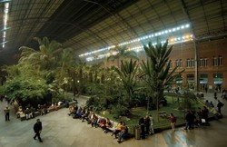 Wah, Ada Hutan di Dalam Stasiun Madrid!