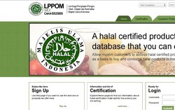 Setahun Diluncurkan, LPPOM MUI Sudah Sertifikasi 1200 Produk Melalui CEROL