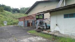 Tak Terawat, Bekas Pabrik Milik Luthfi di Bogor Jadi Tempat Main Bocah