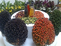 Produk Biodiesel Indonesia Kena Anti Dumping di Uni Eropa