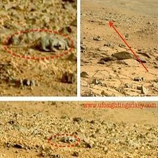 Wah! Robot NASA Temukan Tikus di Planet Mars?