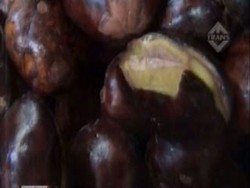 Jengkol Mahal, Pedagang Warteg Jengkel