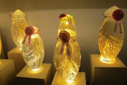 Manfaat Hebat Ginseng: Tingkatkan Kerja Otak Hingga Bikin Pria Greng