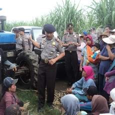 Hadang Traktor PTPN XII, Petani Situbondo Menolak Lahannya Dibajak