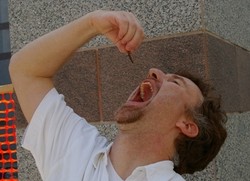 Makan Testikel Sapi & 4 Festival Kuliner Terunik di AS