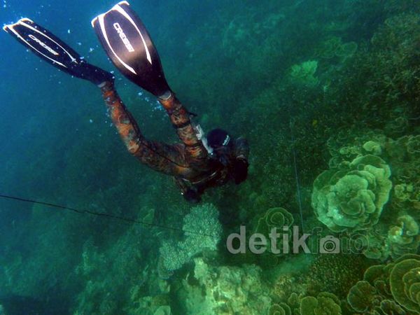 Spearfishing, Cara Ramah Berburu Ikan