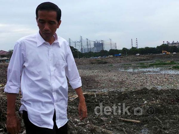 Jokowi Tinjau Waduk Pluit Bersih